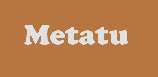 METATU是什么牌子_metatu品牌怎么样?