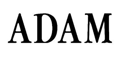 Adam是什么牌子_亚当品牌怎么样?