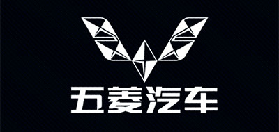 五菱之光是什么牌子_五菱之光品牌怎么样?