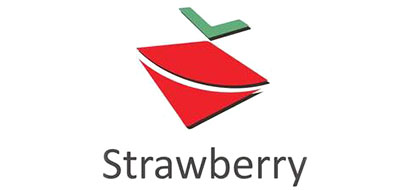 Strawberry technology是什么牌子_草莓科技品牌怎么样?