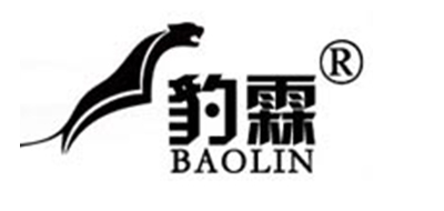 豹霖是什么牌子_豹霖品牌怎么样?