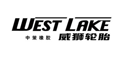 威狮是什么牌子_威狮品牌怎么样?