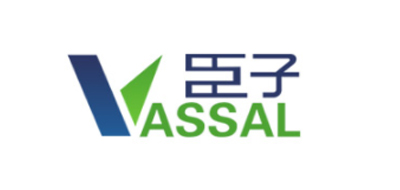 Vassal是什么牌子_臣子品牌怎么样?