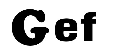 Gef是什么牌子_Gef品牌怎么样?