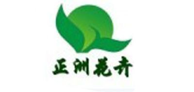 正洲是什么牌子_正洲品牌怎么样?