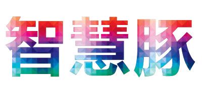 智慧豚是什么牌子_智慧豚品牌怎么样?