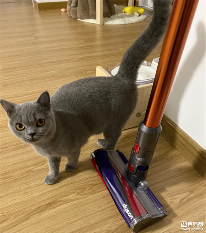 吸尘器中的劳斯莱斯,Dyson V10手持无绳吸尘器使用体验 吸尘器中的劳斯莱斯,Dyson V10手持无绳吸尘器使用体验