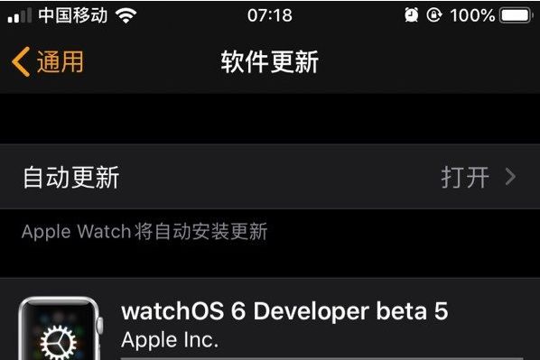 苹果watchOS 6开发者预览版Beta 5推送，手表新功能抢先看-1