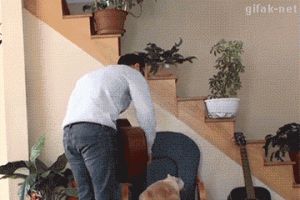 千万别惹喵星人！-1