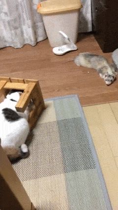高手过招之前。。。-1