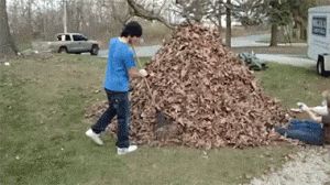 还让不让人扫地了-1