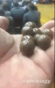 发现多了一颗麦丽素