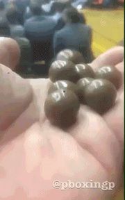 发现多了一颗麦丽素-1