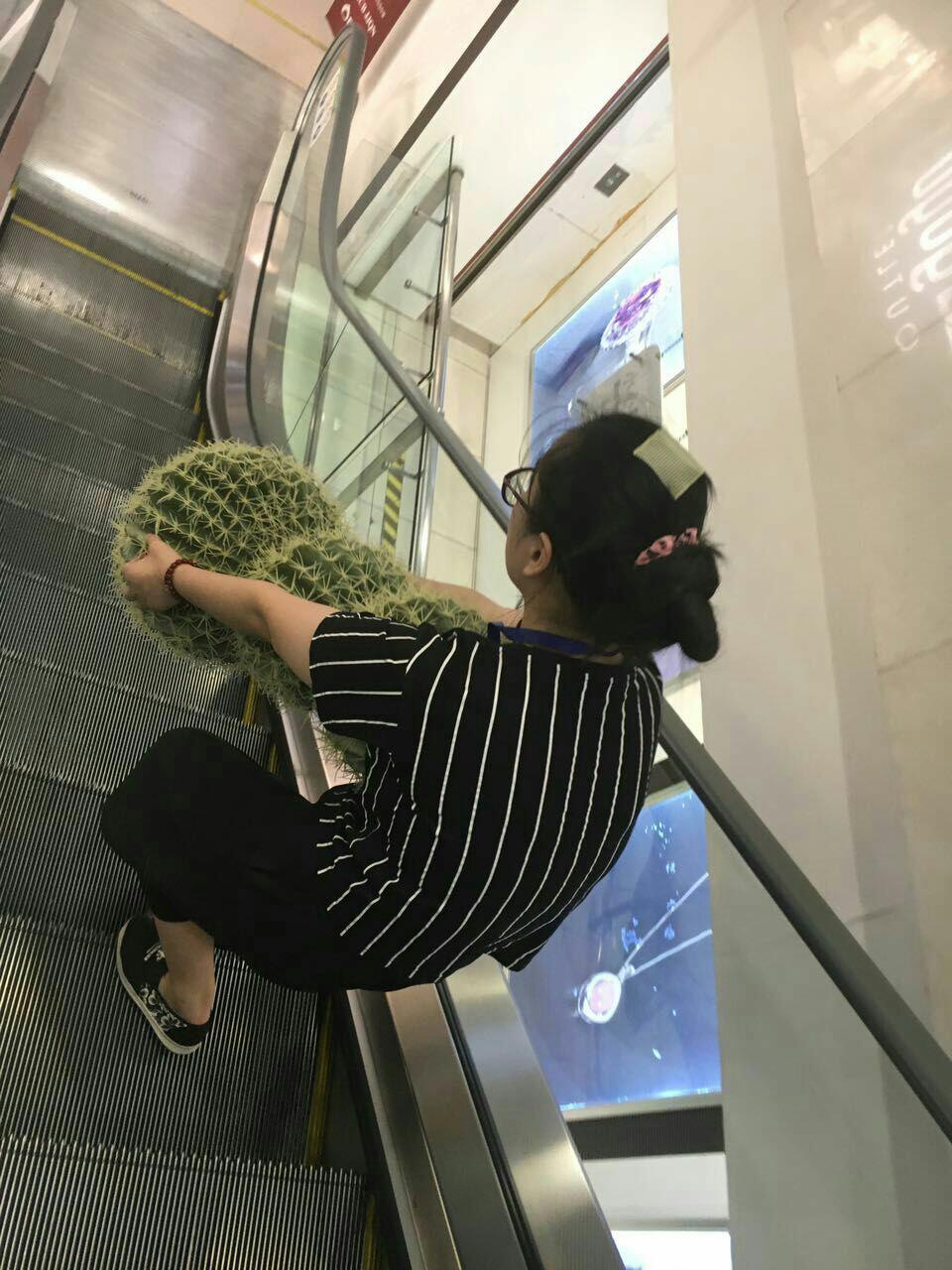我对这位女侠的佩服之情犹如滔滔江水连绵不绝-1