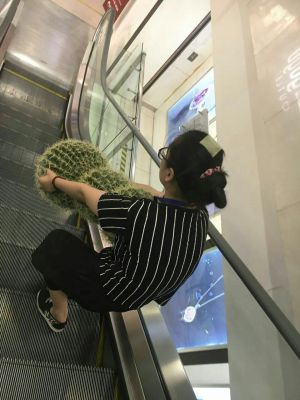 我对这位女侠的佩服之情犹如滔滔江水连绵不绝-1