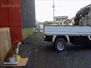 “倒车，请注意；倒车，请注意”-1