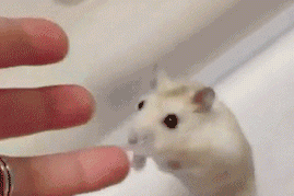 别走!别走!别走!要抱抱....... 别走!别走!别走!要抱抱.......