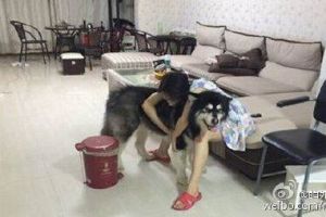 姑娘这抱枕用着真顺手-1