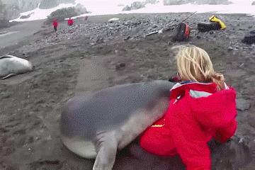 就这样被推到了 就这样被推到了