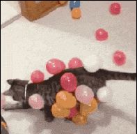 静电猫-1
