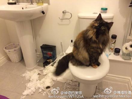 “是的，都是我撕的，有什么问题吗？”-1