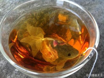 这茶包谁想出来的，简直机智-1