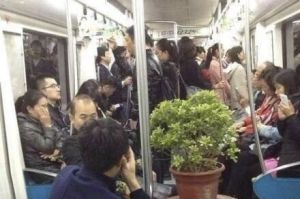 在北京地铁10号线看到的专属vip-1
