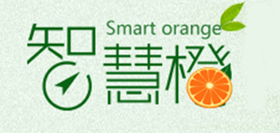 智慧橙是什么牌子_智慧橙品牌怎么样?
