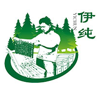伊纯是什么牌子_伊纯品牌怎么样?