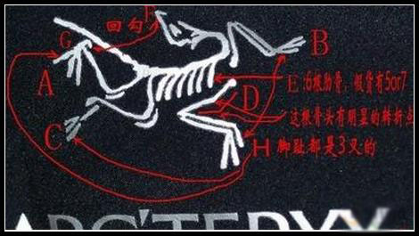 始祖鸟羽绒服怎么辨别真假？