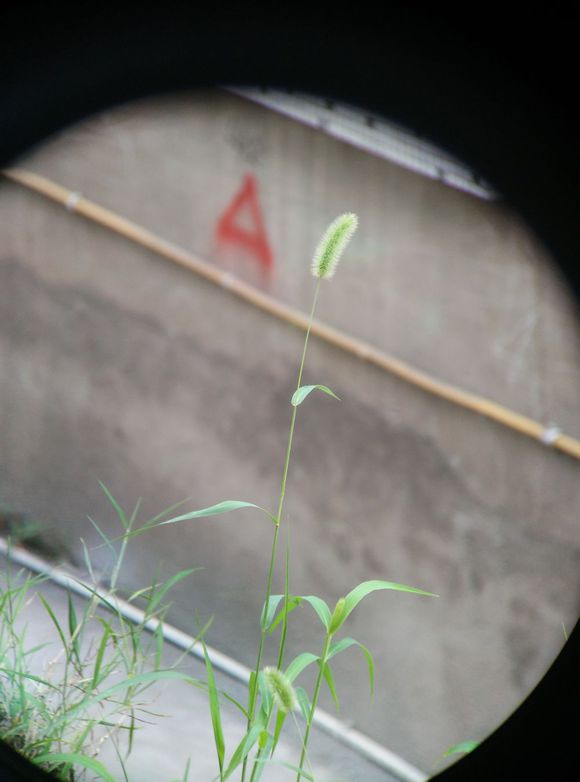 不一样的角度看世界-博冠望远镜鸿鹄8X42 不一样的角度看世界-博冠望远镜鸿鹄8X42