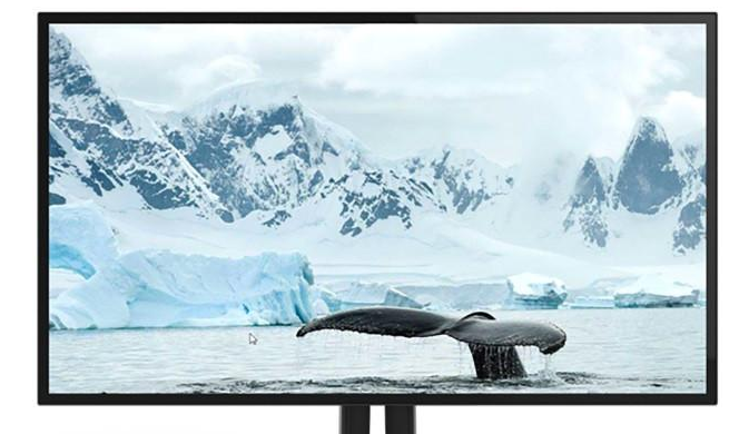 8K分辨率Ultra HD显示器！ViewSonic推出新的专业和企业级显示器-2
