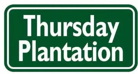 thursday plantation茶树精油好用不? thursday plantation茶树精油好用不?