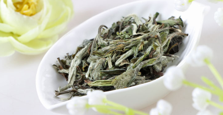 “绿雪芽”白茶价格贵不贵？性价比怎样？-1
