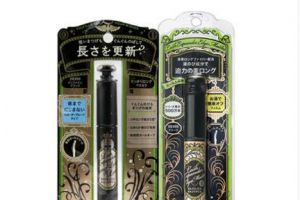 日本睫毛膏哪款最好用？日本好用的睫毛膏推荐？-1