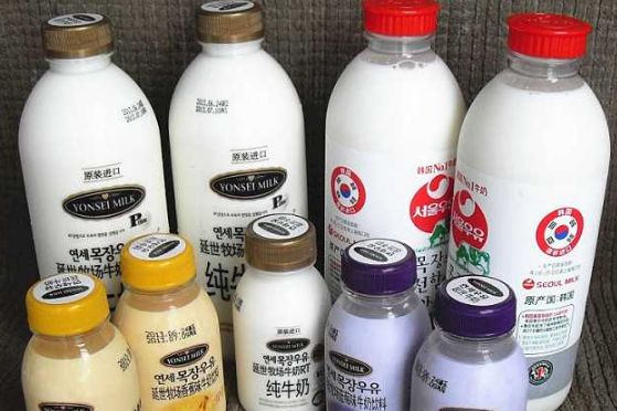 哪种纯牛奶最好？延世纯牛奶好吗？-1