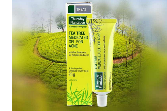 澳洲星期四茶树祛痘膏好吗?星期四茶树祛痘膏效果怎样? 澳洲星期四茶树祛痘膏好吗?星期四茶树祛痘膏效果怎样?