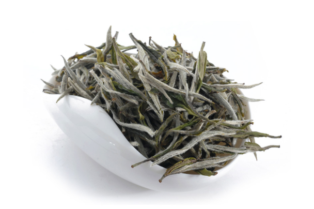 福鼎白茶多少钱一斤？福鼎白茶属于什么茶类？-1