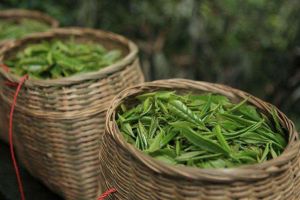 比较好的茶叶品牌是什么？蒙顶茶叶怎么样？-1