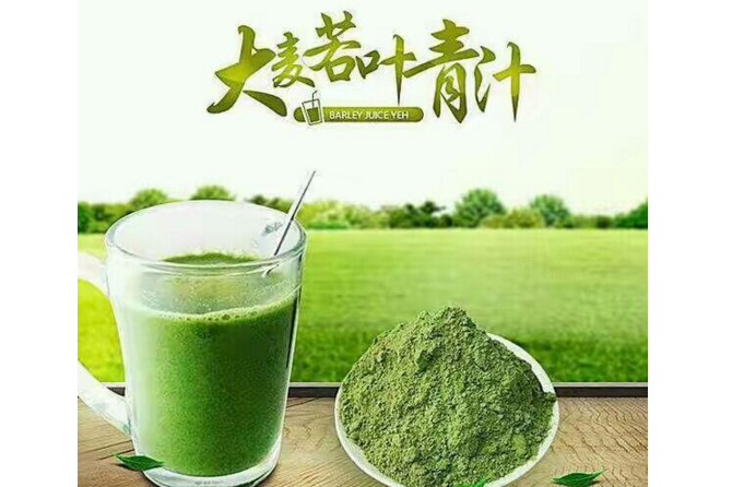 青汁的作用？三里人家大麦青汁效果如何？-1