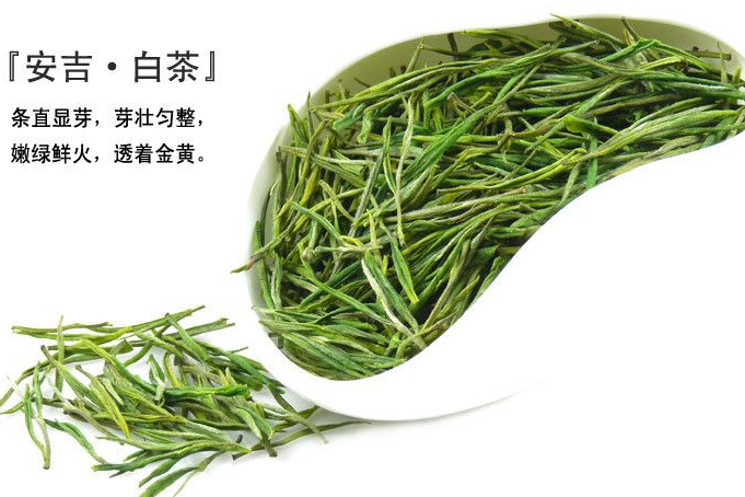 安吉白茶采摘日期？安吉白茶是绿茶吗？-1