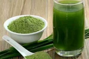 青汁怎么喝？谁能推荐几款日本大麦若叶青汁？-1
