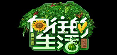 Back to field是什么牌子_向往的生活品牌怎么样?