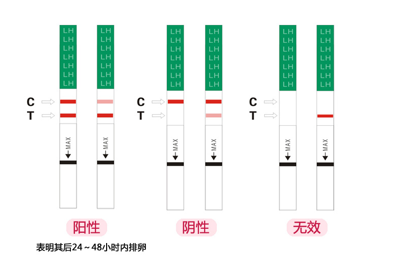 排卵试纸测早孕准吗？大卫排卵试纸和秀儿排卵试纸那个好？-3