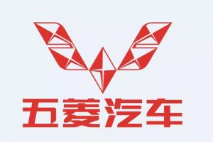 再牛的豪车也怕秋名山五菱之光，它彻底颠覆世界对中国汽车的看法-1