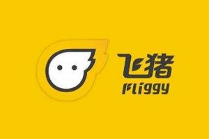 飞猪旅行与土耳其航空达成合作 形成互惠互利局面-1