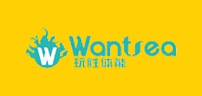 玩胜体育是什么牌子_玩胜体育品牌怎么样?