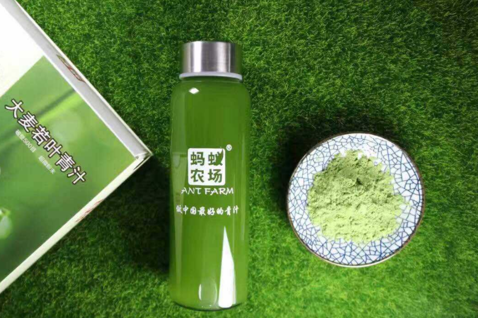 蚂蚁农场青汁和日本大麦若叶青汁哪个好？-1