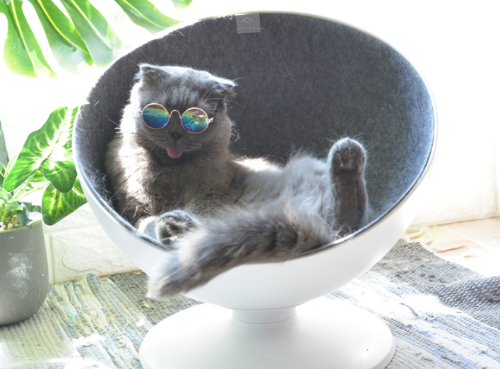 猫喜欢什么类型的猫窝?淘宝上猫窝的价格?
