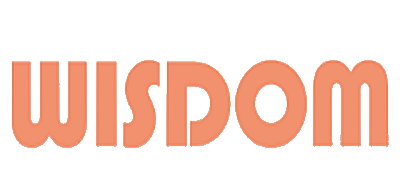 WISDOM是什么牌子_WISDOM品牌怎么样?